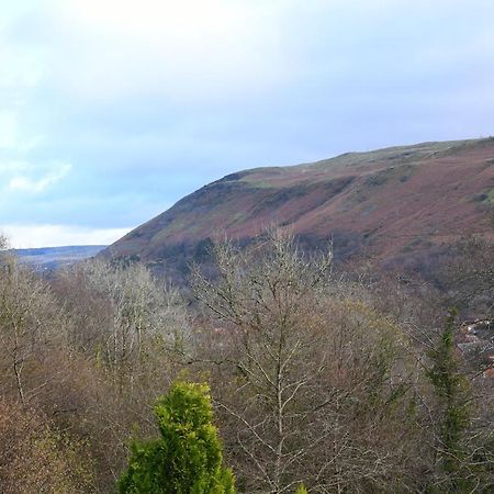 스완지 Cilbrwyn B&B 외부 사진